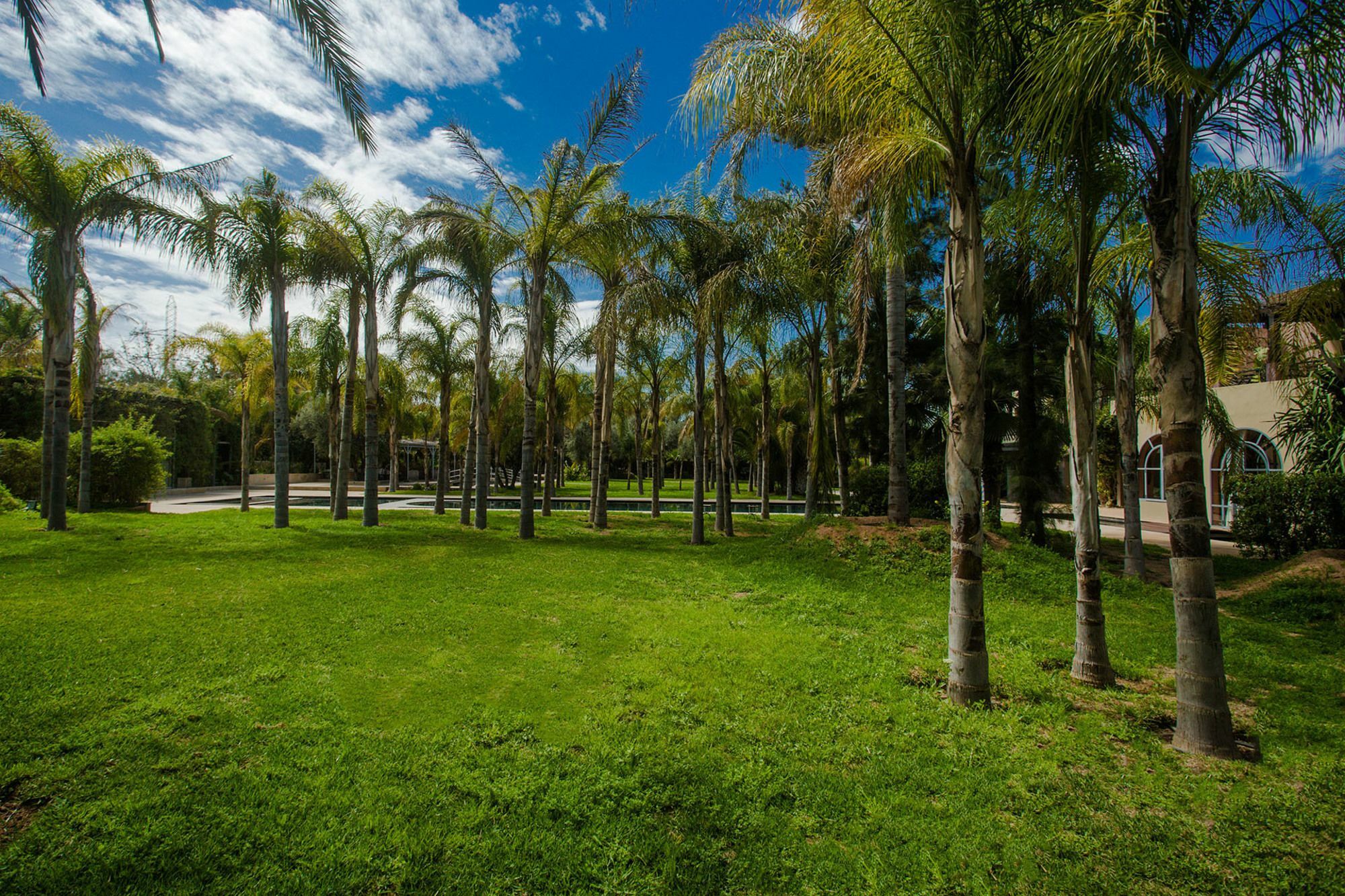 Palais Mirage D'Atlas, Hotel De Luxe & Spa Ouled Jelal 외부 사진