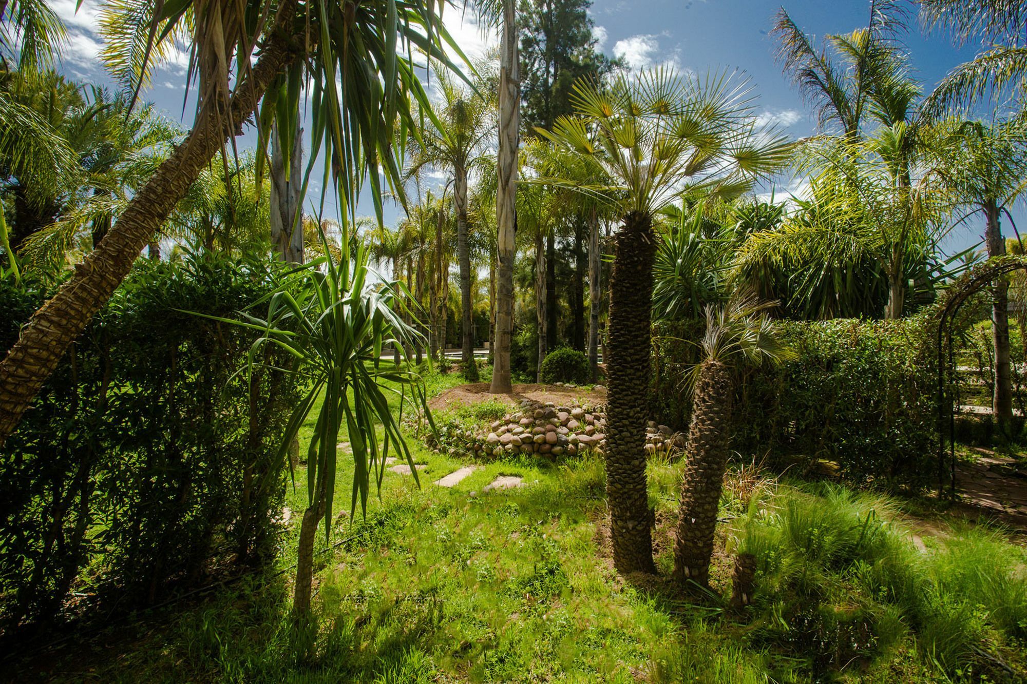 Palais Mirage D'Atlas, Hotel De Luxe & Spa Ouled Jelal 외부 사진